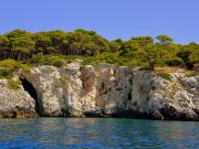 Tremila nuovi alberi per il Gargano