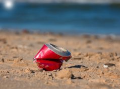 L’impegno dei volontari de La Via della Felicità per ripulire le spiagge