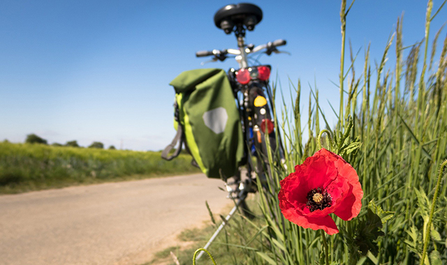 Dalla Liguria alla Sicilia in bicicletta, i 2.600 km della ciclovia dell’Appennino