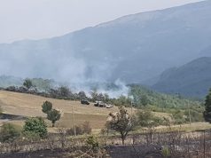 Incendi e cambiamento climatico: il vademecum di PEFC Italia