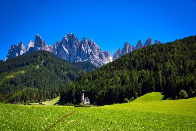 Boschi: aumenta di 587mila ettari la superficie in Italia