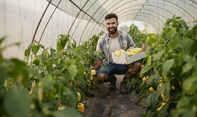 Cresce il numero dei giovani imprenditori agricoli