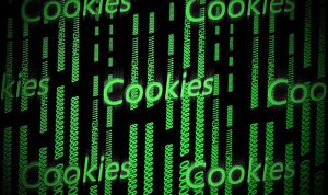 Educazione digitale: Poste Italiane illustra le caratteristiche di cookie e privacy policy