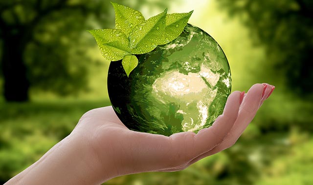 Giornata Mondiale dell’Ambiente: tocca alla Svezia unire il pianeta green