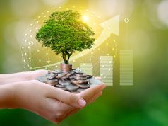 Incentivi, tassonomia e Pnrr: le raccomandazioni per una finanza sostenibile