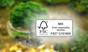 Postel: la Carta FSC® e le iniziative green a tutela dell’ambiente