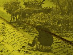 Lettere nella storia: My Lai e la denuncia del soldato americano